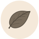 icono hoja de árbol
